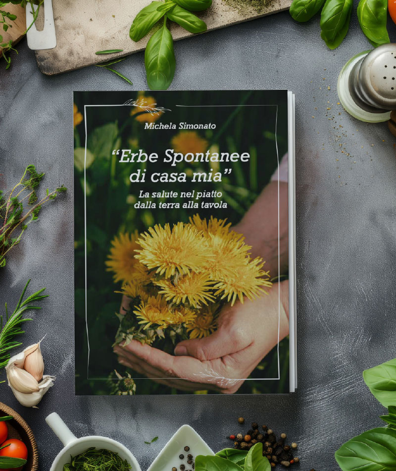 xl_galley_editoria_1