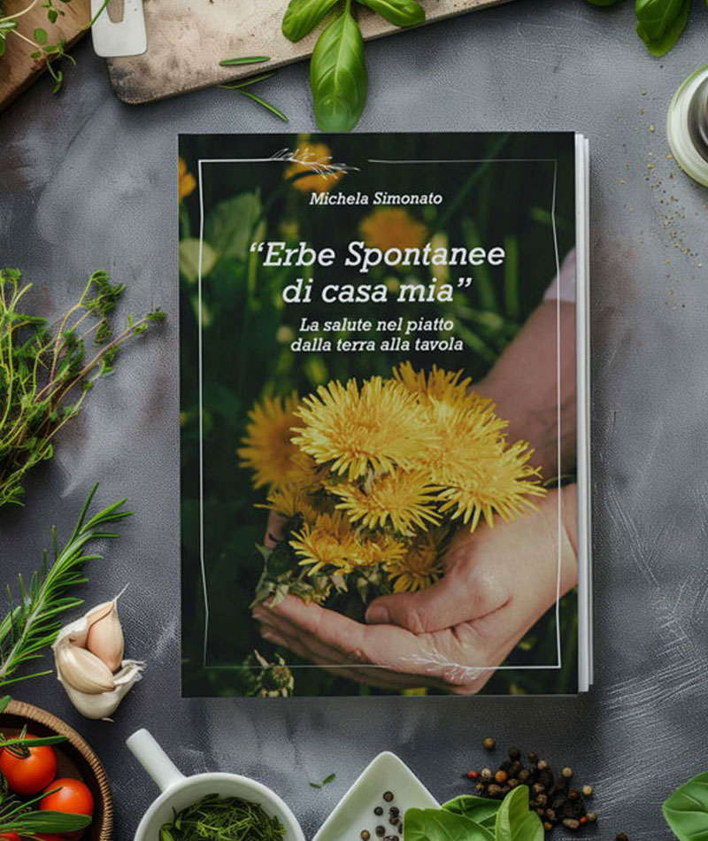 xl-libro-erbe-spontanee_800x950